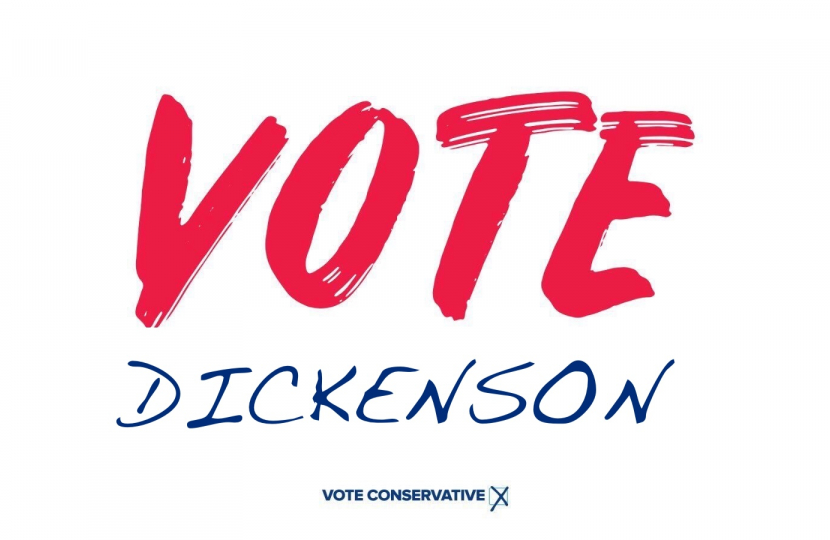 VOTE DICKENSON ✘ 